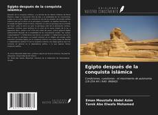 Bookcover of Egipto después de la conquista islámica