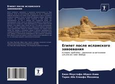 Египет после исламского завоевания的封面