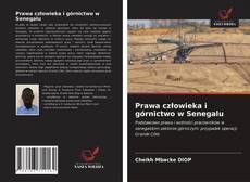 Prawa człowieka i górnictwo w Senegalu kitap kapağı