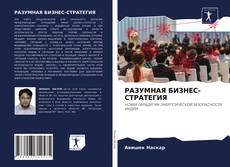РАЗУМНАЯ БИЗНЕС-СТРАТЕГИЯ的封面