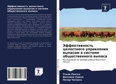 Bookcover of Эффективность целостного управления выпасом в системе общественного выпаса