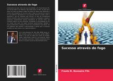 Capa do livro de Sucesso através do fogo 