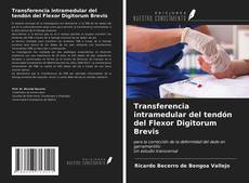 Transferencia intramedular del tendón del Flexor Digitorum Brevis kitap kapağı