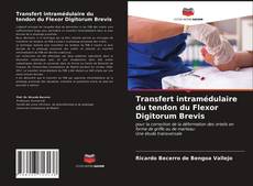 Bookcover of Transfert intramédulaire du tendon du Flexor Digitorum Brevis