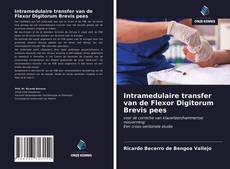 Intramedulaire transfer van de Flexor Digitorum Brevis pees kitap kapağı