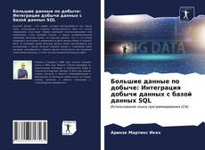 Copertina di Большие данные по добыче: Интеграция добычи данных с базой данных SQL