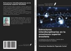 Estructuras interdisciplinarias en la enseñanza superior brasileña kitap kapağı