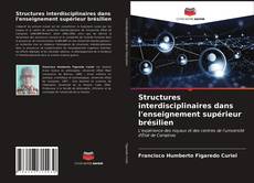 Bookcover of Structures interdisciplinaires dans l'enseignement supérieur brésilien