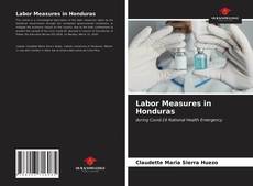 Capa do livro de Labor Measures in Honduras 