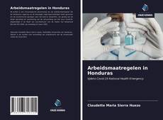 Buchcover von Arbeidsmaatregelen in Honduras