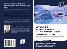 Copertina di УПРАВЛЕНИЕ КАЗНАЧЕЙСТВОМ В КОМПАНИИ-ПОСТАВЩИКЕ САНИТАРНЫХ УСЛУГ