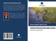 Portada del libro de KREDITRISIKOGRUNDLAGEN