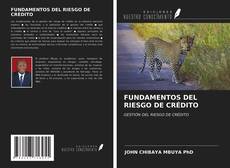 FUNDAMENTOS DEL RIESGO DE CRÉDITO kitap kapağı