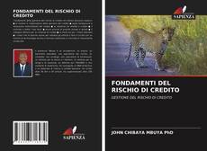 Couverture de FONDAMENTI DEL RISCHIO DI CREDITO