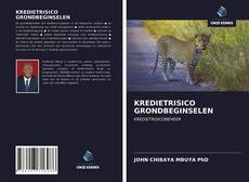 Buchcover von KREDIETRISICO GRONDBEGINSELEN