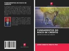 Capa do livro de FUNDAMENTOS DO RISCO DE CRÉDITO 