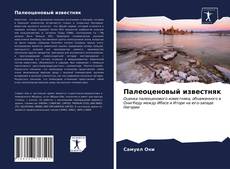 Палеоценовый известняк kitap kapağı