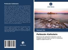 Bookcover of Paläozän Kalkstein