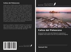 Buchcover von Caliza del Paleoceno