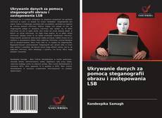 Ukrywanie danych za pomocą steganografii obrazu i zastępowania LSB kitap kapağı