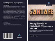 Bookcover of Overheidsbeleid ter bevordering van werknemerscoöperaties in Santa Fe