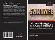 Bookcover of Polityka publiczna na rzecz promocji spółdzielni pracowniczych w Santa Fe