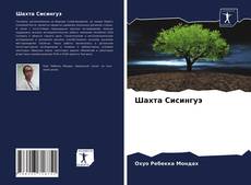 Copertina di Шахта Сисингуэ