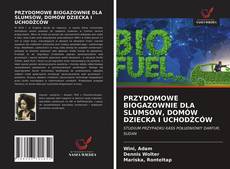 Bookcover of PRZYDOMOWE BIOGAZOWNIE DLA SLUMSÓW, DOMÓW DZIECKA I UCHODŹCÓW
