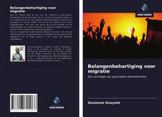 Belangenbehartiging voor migratie kitap kapağı