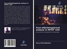 Buchcover von Fout afdichtingsbreuk analyse in HP/HT veld