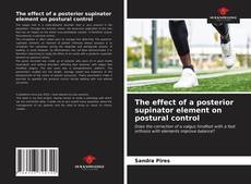 Capa do livro de The effect of a posterior supinator element on postural control 