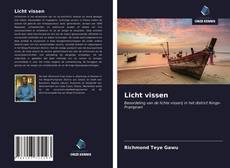 Bookcover of Licht vissen