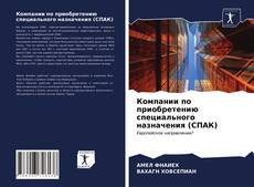 Компании по приобретению специального назначения (СПАК) kitap kapağı