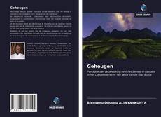 Capa do livro de Geheugen 