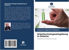 Buchcover von Arbeitsschutzgesetzgebung in Ontario: