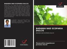 Bookcover of BADANIA NAD SCOPARIA DULCIS