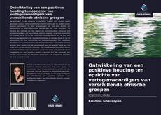 Buchcover von Ontwikkeling van een positieve houding ten opzichte van vertegenwoordigers van verschillende etnische groepen