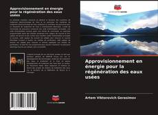 Approvisionnement en énergie pour la régénération des eaux usées kitap kapağı