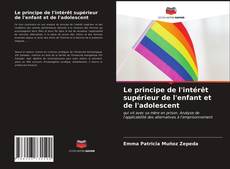 Borítókép a  Le principe de l'intérêt supérieur de l'enfant et de l'adolescent - hoz