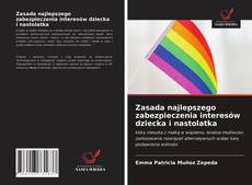 Buchcover von Zasada najlepszego zabezpieczenia interesów dziecka i nastolatka