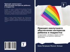 Обложка Принцип наилучшего обеспечения интересов ребенка и подростка