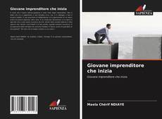 Bookcover of Giovane imprenditore che inizia