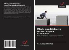 Bookcover of Młody przedsiębiorca rozpoczynający działalność