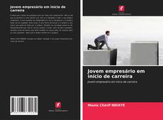 Bookcover of Jovem empresário em início de carreira