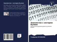 Обложка Знакомство с сектором Булвем