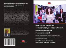 Copertina di Analyse du travail en collaboration, de l'éducation et de la protection de l'environnement