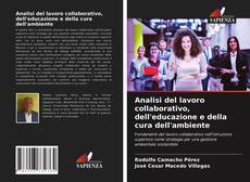 Buchcover von Analisi del lavoro collaborativo, dell'educazione e della cura dell'ambiente