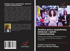 Bookcover of Analiza pracy zespołowej, edukacji i opieki środowiskowej