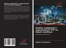 Bookcover of Analiza wydajności i usprawnienie TCP na falach mmWave