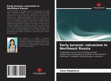 Capa do livro de Early Jurassic volcanism in Northeast Russia 